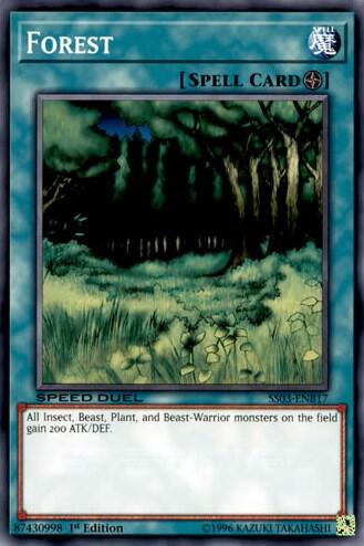 Forest
