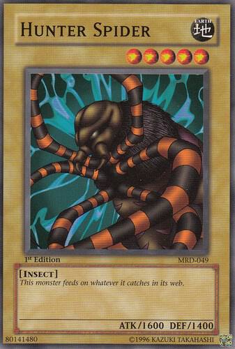 Hunter Spider