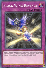 Black Wing Revenge (DLCS-EN033) [Common] - Yu-Gi-Oh!