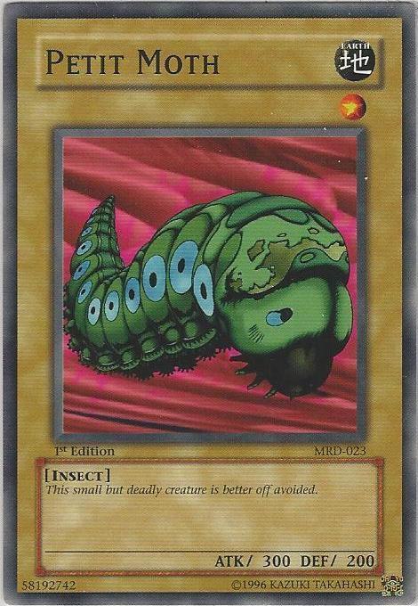 Petit Moth