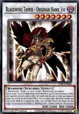 Blackwing Tamer - Obsidian Hawk Joe (LDS2-EN042) [Common] - Yu-Gi-Oh!