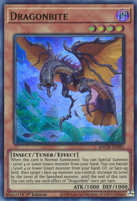 Dragonbite (BACH-EN081) [Ultra Rare] - Yu-Gi-Oh!