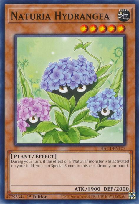 Naturia Hydrangea