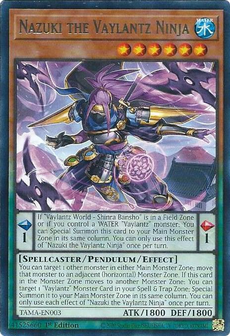 Nazuki the Vaylantz Ninja
