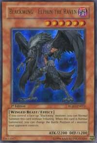 Blackwing - Elphin the Raven