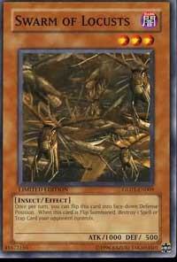 Swarm of Locusts