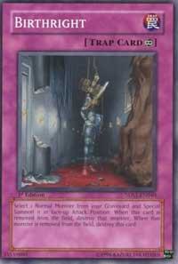 Birthright (5DS1-EN040) [Common] - Yu-Gi-Oh!