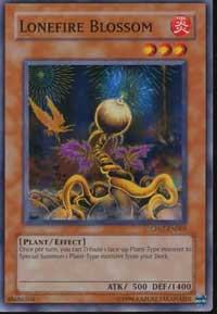 Lonefire Blossom