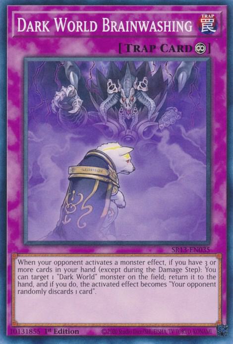 Dark World Brainwashing (SR13-EN035) [Common] - Yu-Gi-Oh!