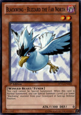 Blackwing - Blizzard the Far North (DP11-EN003) [Common] - Yu-Gi-Oh!