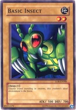 Basic Insect