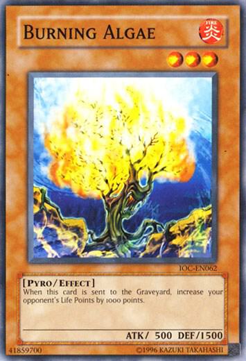 Burning Algae