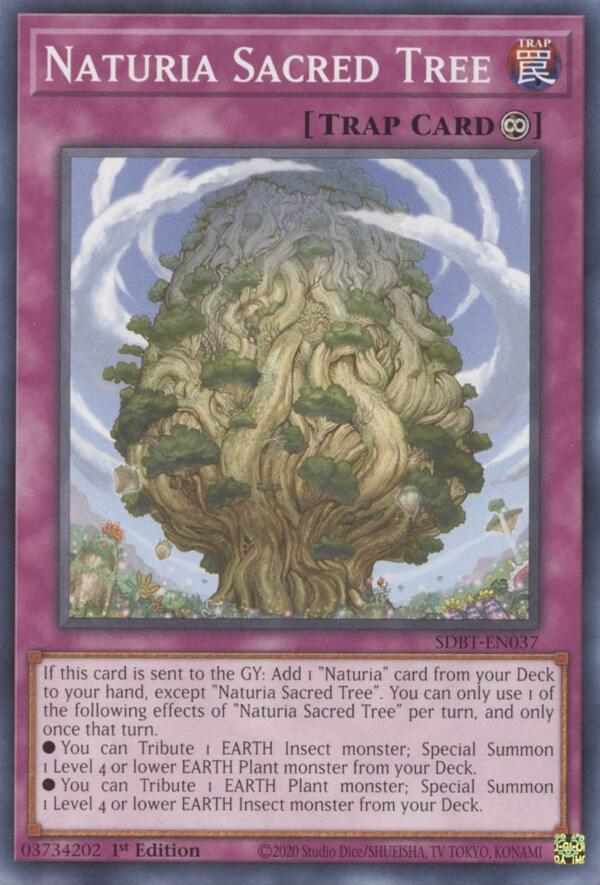 Naturia Sacred Tree (SDBT-EN037) [Common] - Yu-Gi-Oh!