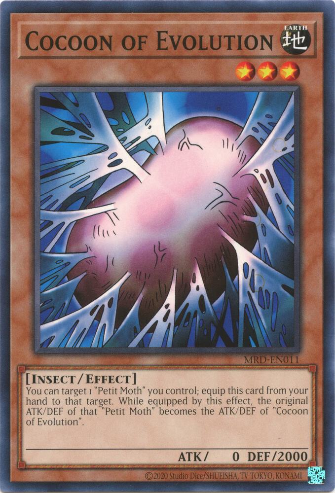 Cocoon of Evolution