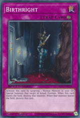 Birthright (SBC1-ENG18) [Common] - Yu-Gi-Oh!