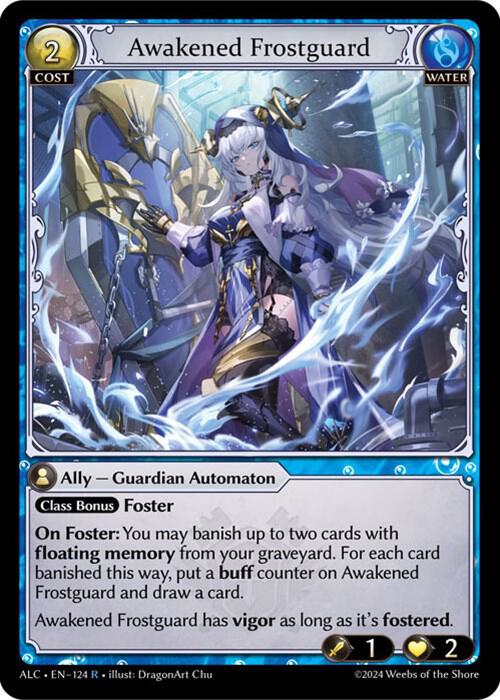 Awakened Frostguard