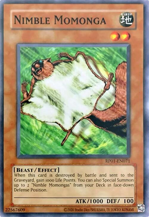 Nimble Momonga