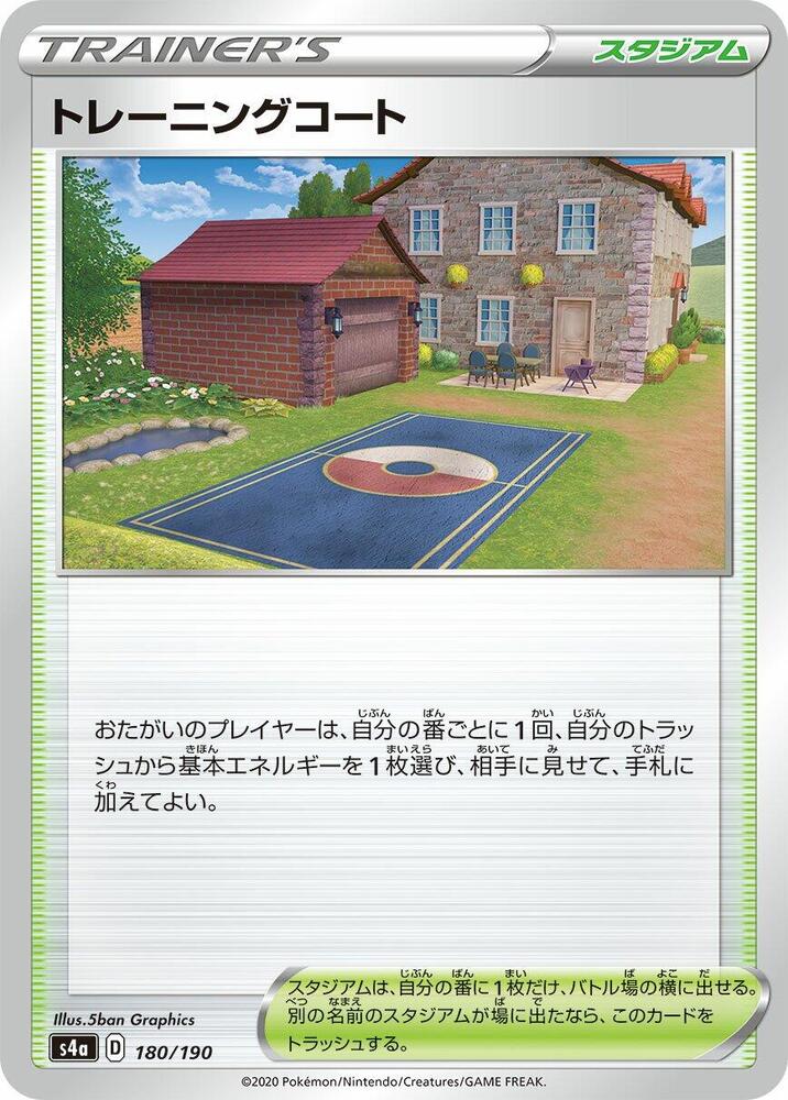 Training Court