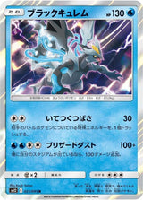 Black Kyurem - Pokémon (Japan)