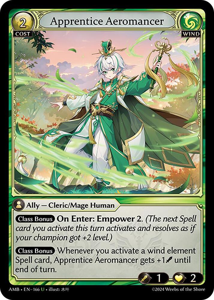 Apprentice Aeromancer