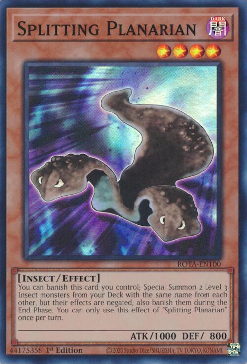 Splitting Planarian [ROTA-EN100] Super Rare - Yu-Gi-Oh!
