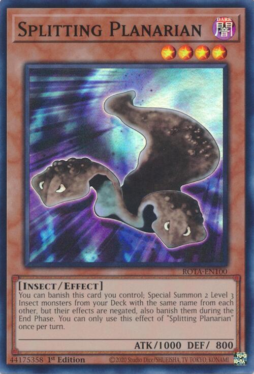 Splitting Planarian (ROTA-EN100) [Super Rare] - Yu-Gi-Oh!