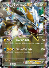 Black Kyurem EX - Pokémon (Japan)
