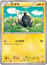 Blitzle - Pokémon (Japan)