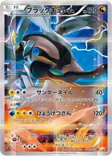 Black Kyurem - Pokémon (Japan)
