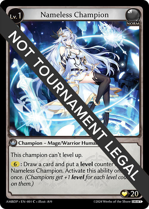 Nameless Champion (Mage/Warrior)