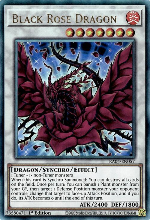 Black Rose Dragon (PUR)