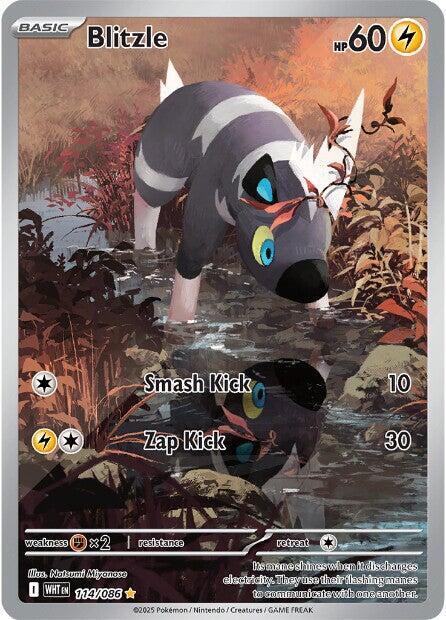 Blitzle - 114/086 - Pokémon