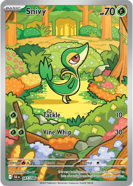 Snivy (087/086) [Scarlet & Violet: Black Bolt] - Pokémon