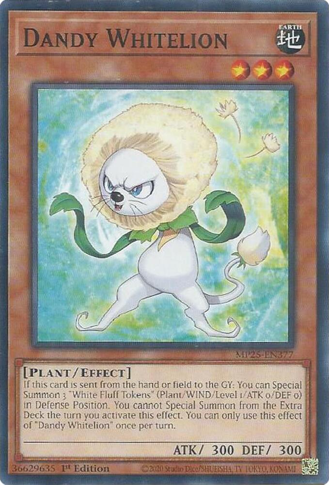 Dandy Whitelion