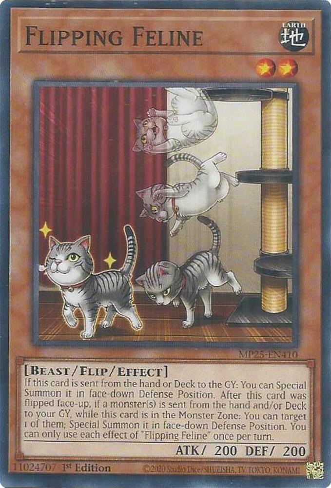 Flipping Feline