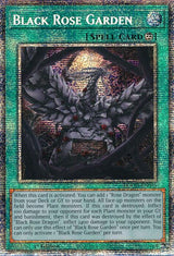 Black Rose Garden (Starlight Rare) (DOOD-EN055) - Yu-Gi-Oh!