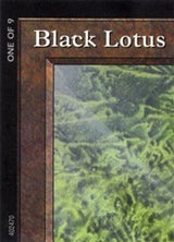 Black Lotus (1 of 9) (Ultra PRO Puzzle Quest) [Media Promos] - Magic: The Gathering