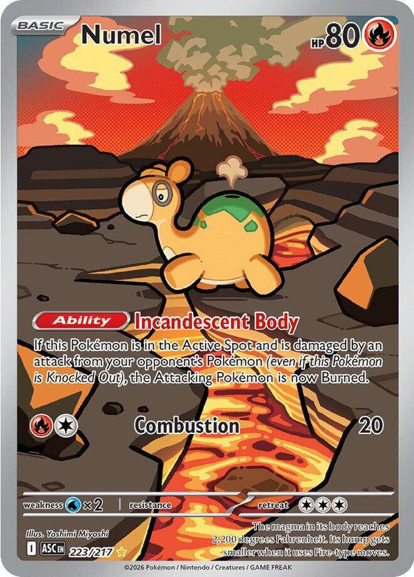 Numel - 223/217 (ASC 223/217) - Pokémon