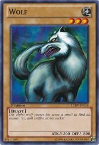 Wolf