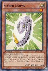 Cyber Larva