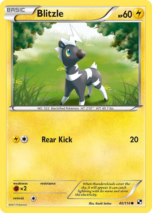 Blitzle (40) - Pokémon