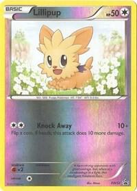Lillipup - BW52