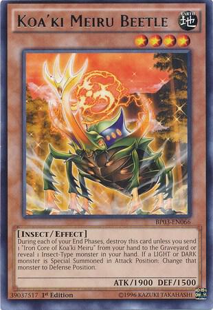 Koa'ki Meiru Beetle