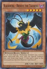 Blackwing - Brisote the Tailwind (LC5D-EN127) [Common] - Yu-Gi-Oh!
