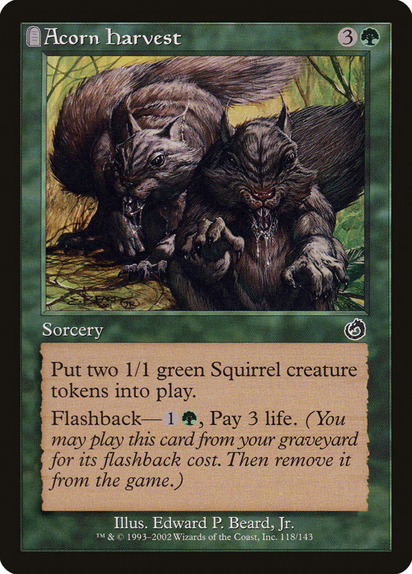 Acorn Harvest [Torment] - Magic: The Gathering