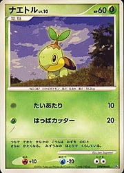 Turtwig