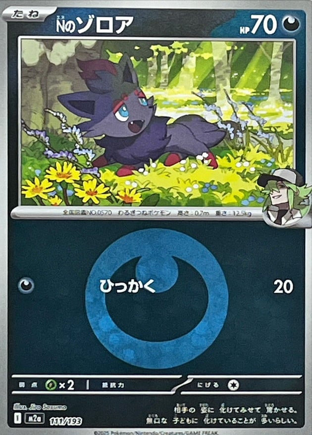 N's Zorua (Energy Symbol Pattern)