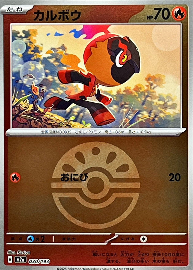 Charcadet (Friend Ball Pattern)