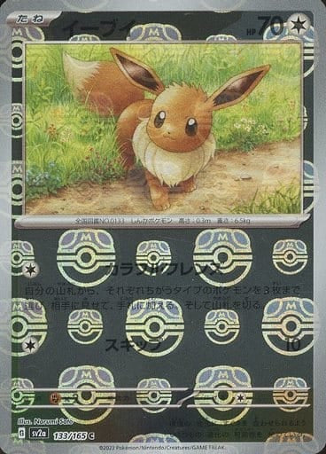 Eevee (Master Ball Pattern)