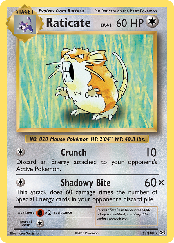 Raticate (67/108) [XY: Evolutions] - Pokémon